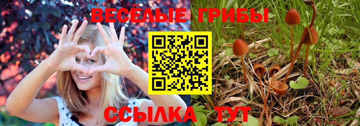 Псилоцибиновые грибы GOLDEN TEACHER  Вход с VPN  Артём  Псилоцибиновые грибы мухоморы 