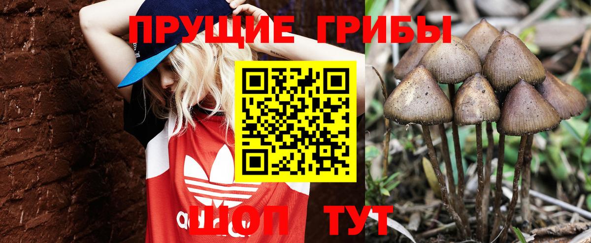 Псилоцибиновые грибы ЛСД Артём