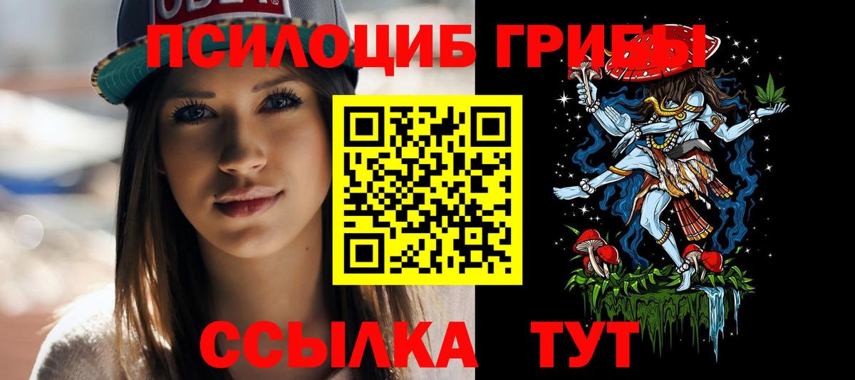 Псилоцибиновые грибы Psilocybine cubensis  Псилоцибиновые грибы Magic Shrooms  Артём 