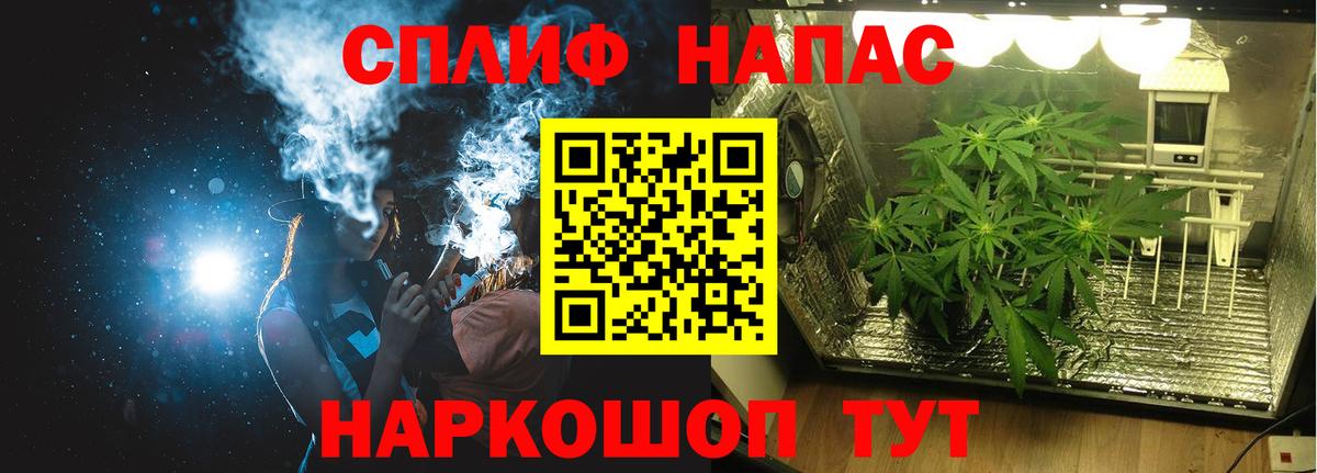 Каннабис сатива Артём